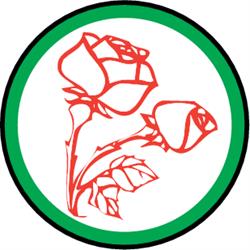 Plantebørsen Brødrene Bergem AS
