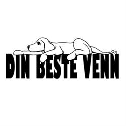 Din Beste Venn as
