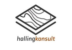 Halling Konsult AS