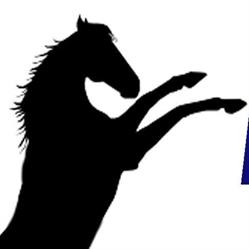 Hestesport-Centeret As