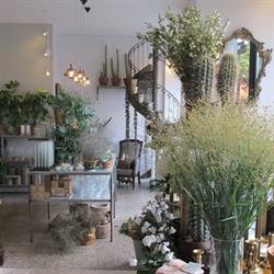 Froken Flood Blomster