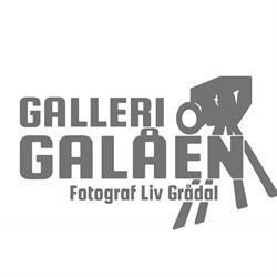 Galleri Galåen Ans
