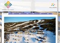 Nettsted av Nesbyen Fjellandsby AS