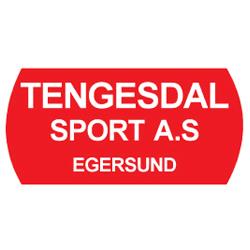 Tengesdal Sport AS