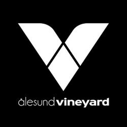 Vineyard Kristne Felleskap Ålesund