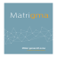 Matrigma evnetester