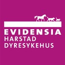 Evidensia Harstad Dyresykehus