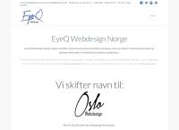 Eyeq Webdesign Norge - David Jensen