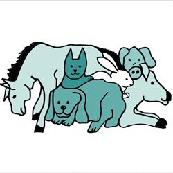 Sørum OG Fet Veterinærkontor