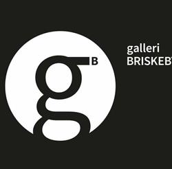 Galleri Briskeby - Oslo