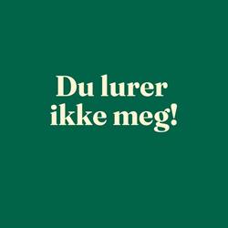 Grue Sparebank