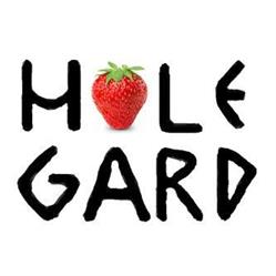Hole Gard AS