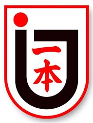 Ippon Judo & BJJ