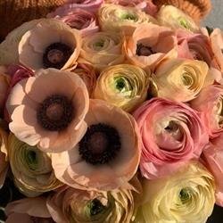 Kildebo Blomster AS