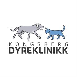 Kongsberg Dyreklinikk AS