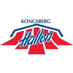 Stiftelsen Kongsberghallen