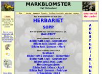 Egil Michaelsen Egils Markblomster