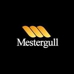 Mestergull As