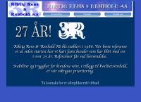 Riktig Rens & Renhold 3 R AS