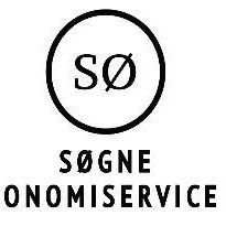Søgne Økonomiservice