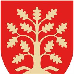 Setesdal vidaregåande skule