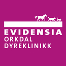 Evidensia Orkdal Dyreklinikk