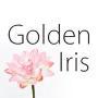Global Iris LTD