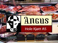 Hole Kjøtt AS