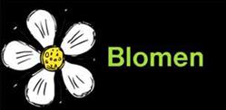 Blomen blomsterforretning