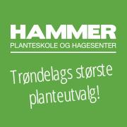 Hammer Planteskole & hagesenter AS - BoGrønt Hammer Planteskole og Hagesenter