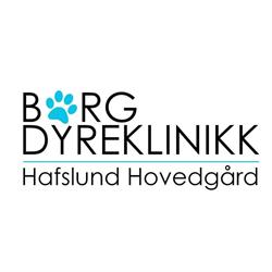 Borg Dyreklinikk AS