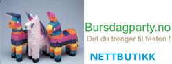 Bursdagparty.no