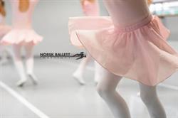 Norsk Ballettinstitutt