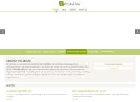 Din Utvikling AS