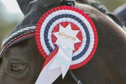 Epona Ryttersenter As