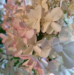 Hegge Blomster Gunn E Hegge Olsen - Hegges Blomster