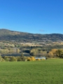 Høst Helgaker