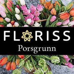 Floriss Porselensfabrikken