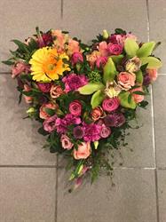 Solgul blomst AS