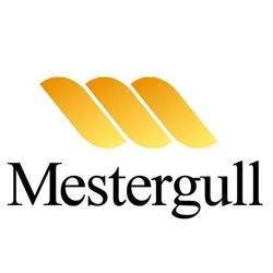 Mestergull Meyer