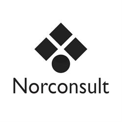 Norconsult International AS