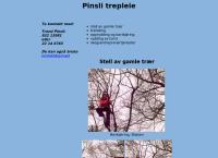 Pinsli trepleie - Trond Pinsli Trepleie