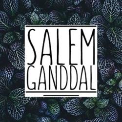 Ganddal Normisjon, Salem