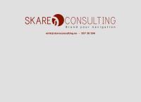Skare Consulting