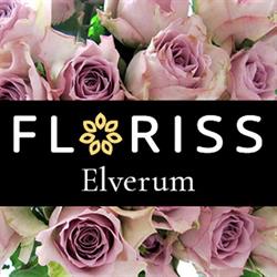 Floriss Elverum – Stil Blomster