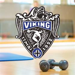 Tif Viking Fysioterapi