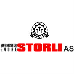 Murmester Endre Storli AS