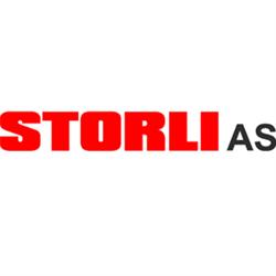 Murmester Endre Storli AS