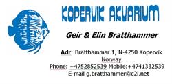 Kopervik Akvarium Geir Bratthammer