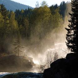 Rukkedalen Og Nes Pinsemenighet Betel